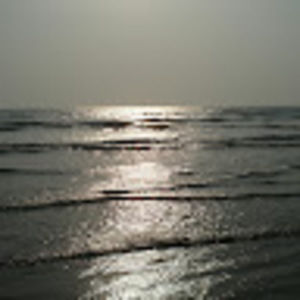 Meet your Posher, Tom